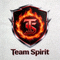 Team Spirit战队标志Logo图标